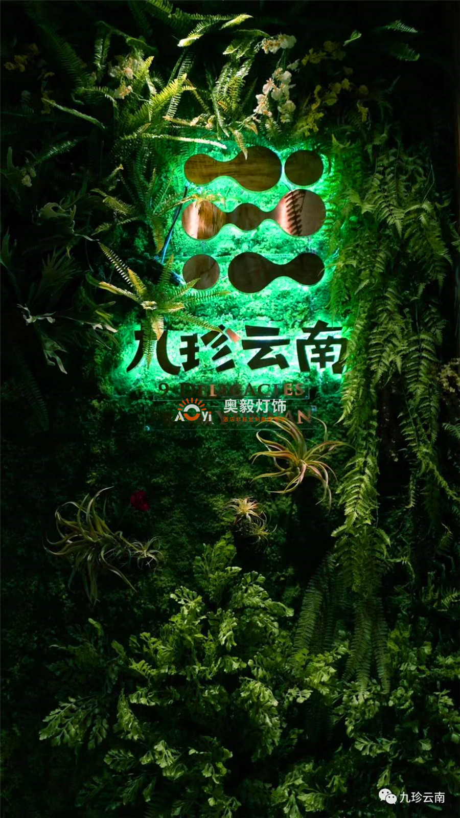 BSport体育官网工程案例 | 九珍云南音乐餐吧