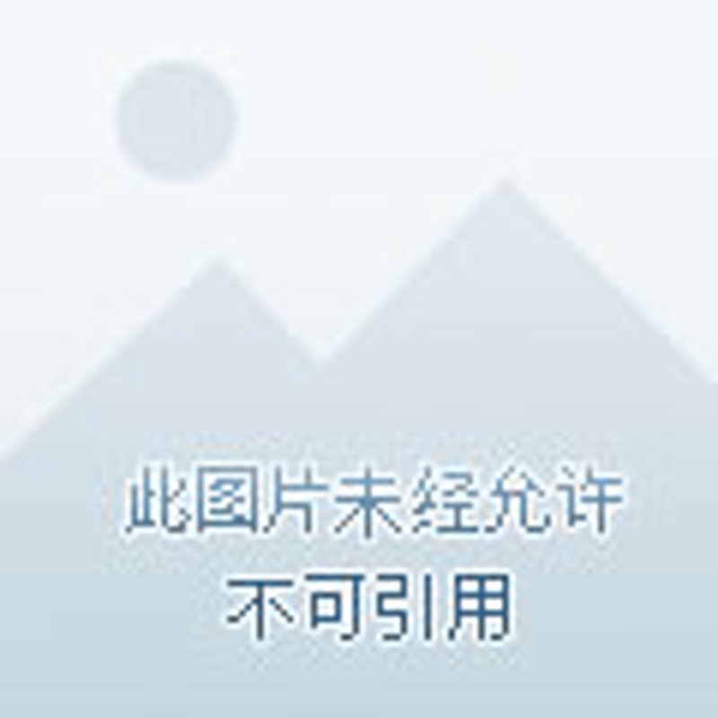 数据分析师：如何构建高效的数据分析团队